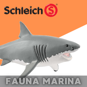 Fauna Marina