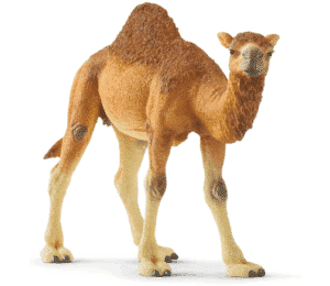 Dromedario - Schleich 14832