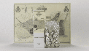 Puzzle Architoys - Barcelona 540 piezas